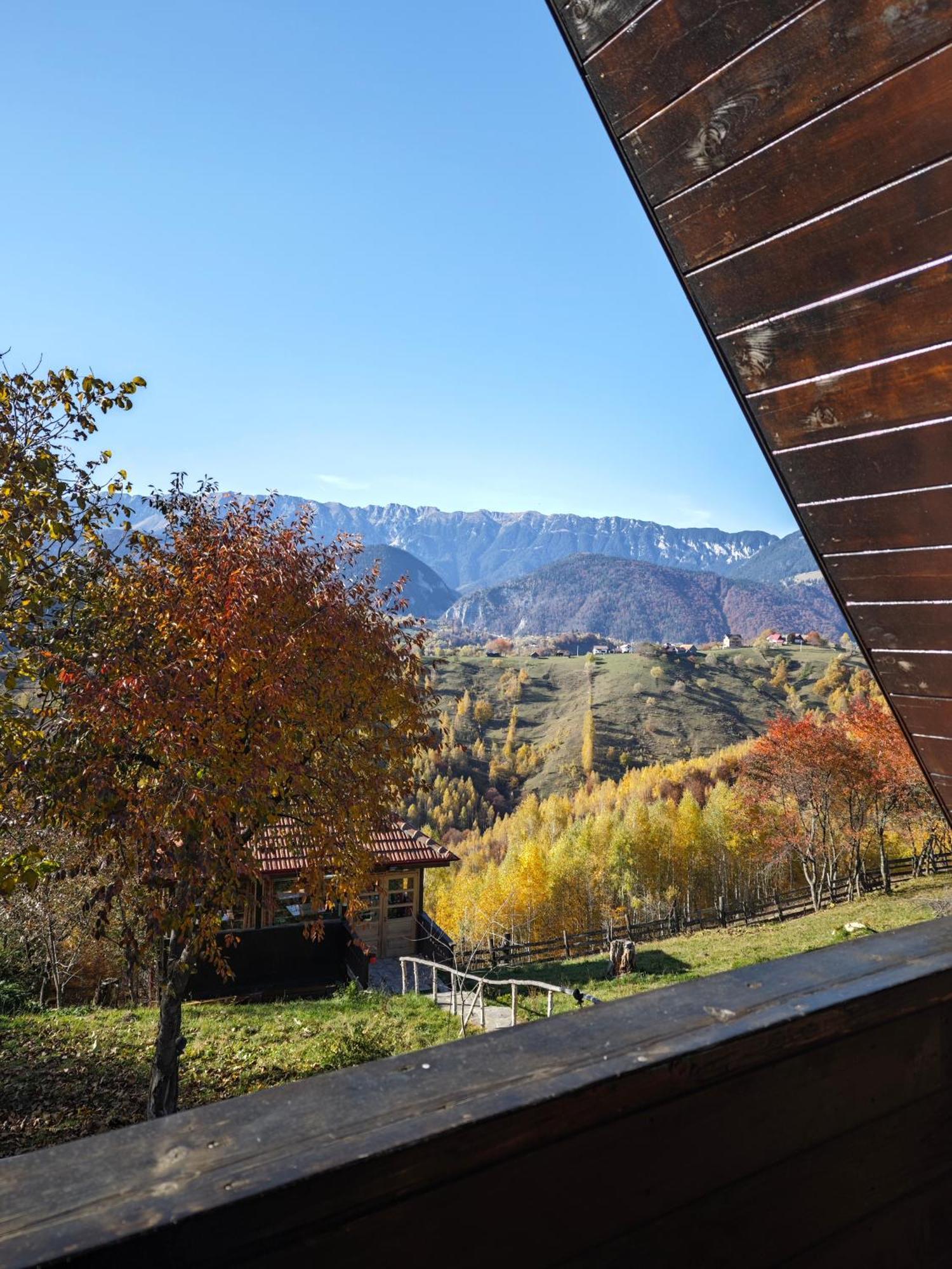 Alpine Escape Studios Magura  Exterior photo